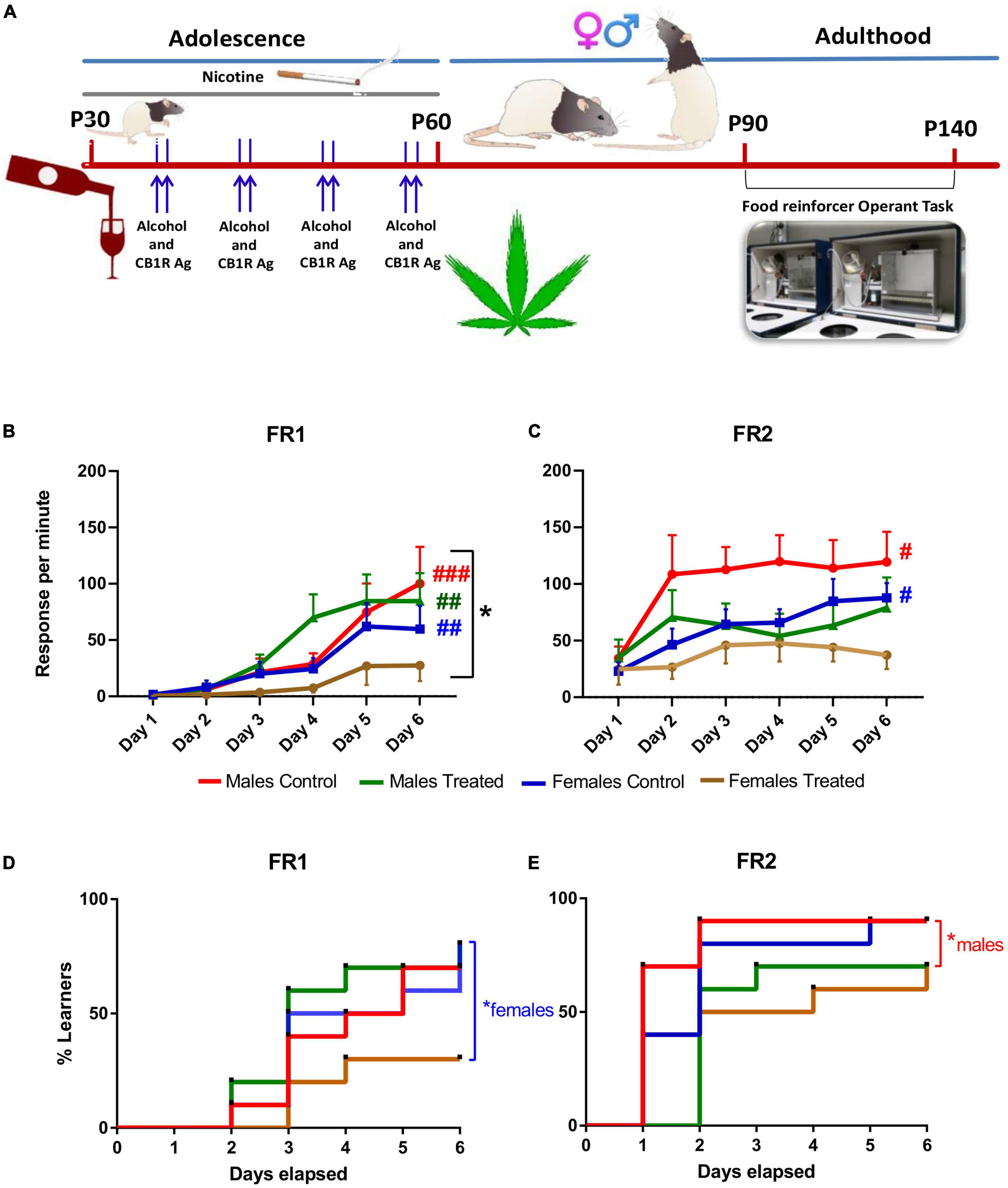 Alcohol and cannabinoid binges and daily exposure to nicotine in adolescent/young adult rats induce sex-dependent long-term appetitive instrumental learning impairment
